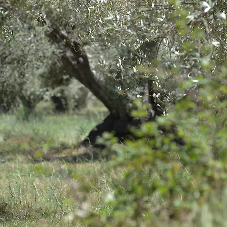 Εξοχικό σπίτι Agriturismo Don Lucifero