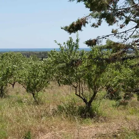 Εξοχικό σπίτι Agriturismo Don Lucifero *