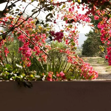 Agriturismo Don Lucifero Séjour à la campagne