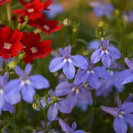 Agriturismo Don Lucifero * Орозеи