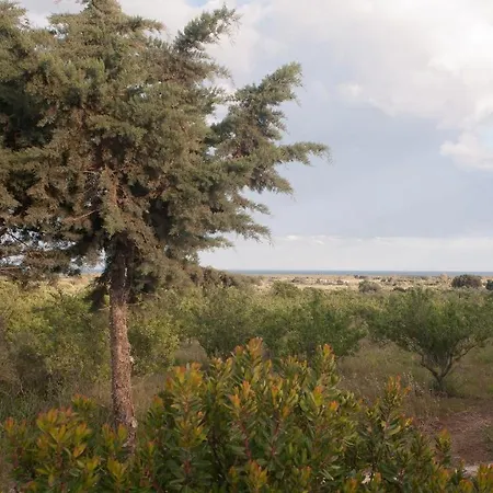 Летний дом Agriturismo Don Lucifero Орозеи