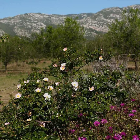Agriturismo Don Lucifero Орозеи