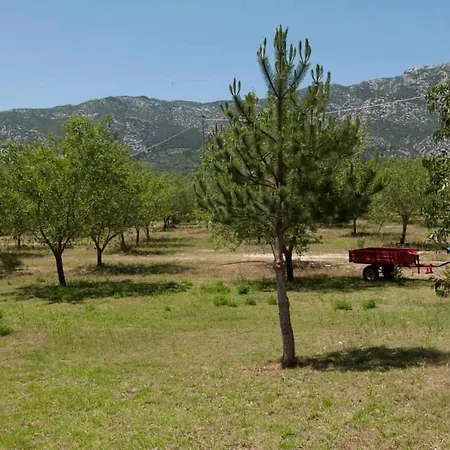 Agriturismo Don Lucifero Орозеи