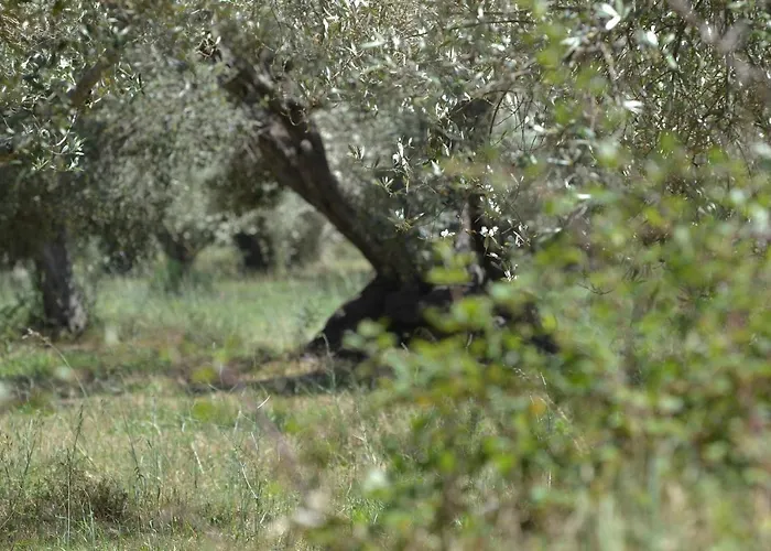 Hétvégi ház Agriturismo Don Lucifero