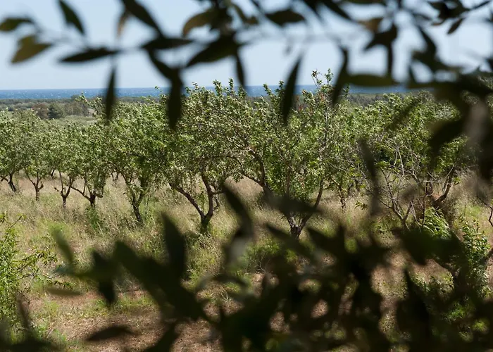 Hétvégi ház Agriturismo Don Lucifero